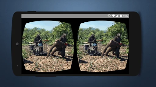 3D VR Video Player showing stereoscopic gorilla wildlife scene with drums and natural habitat in HD 360-degree immersive video format