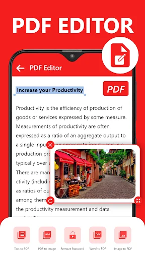 PDF editor interface with text editing, image insertion, and document conversion tools for Word to PDF and PDF to image transformations