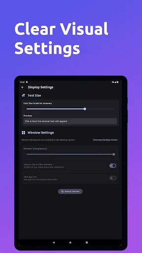 Display Settings full screen with Text Size slider, preview text, Window Settings, transparency toggle, and dark theme customization options