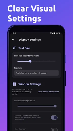 Display Settings page with Text Size adjustment slider, preview, Window Settings, transparency toggle, and visual customization options