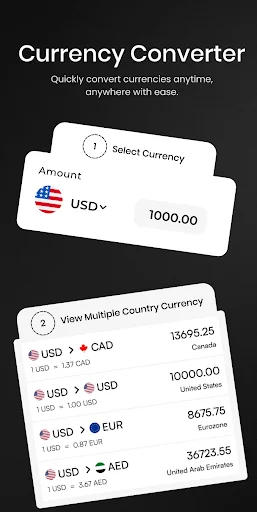 Currency converter tool showing USD conversion rates to CAD, EUR, AED, and other international currencies.