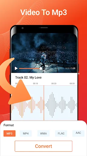 Video to MP3 converter showing video preview with waveform, multiple audio format options, and Convert button
