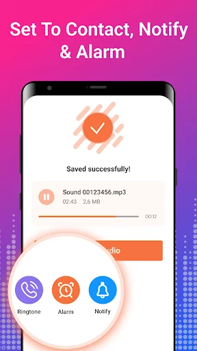 Success confirmation screen with options to set custom audio as ringtone, alarm, or notification with file size details